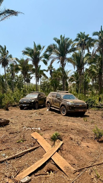 PF deflagra operação na Terra Indígena Bacurizinho, em Grajaú/MA
