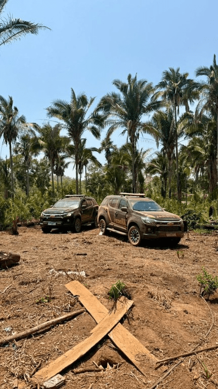 PF deflagra operação na Terra Indígena Bacurizinho, em&nbsp;Grajaú/MA