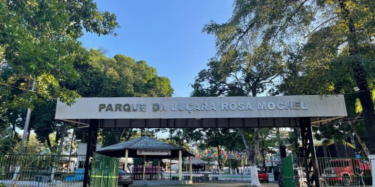 Tradição desrespeitada: Comunidade do Maracanã perde controle da Festa da Juçara após 56&nbsp;anos