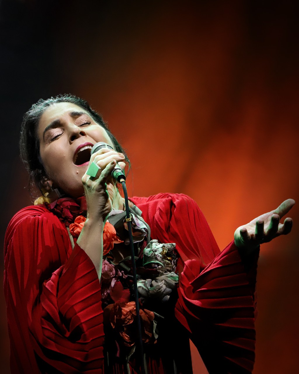 Mônica Salmaso apresenta novo álbum em São Luís (MA) com o show Minha&nbsp;Casa