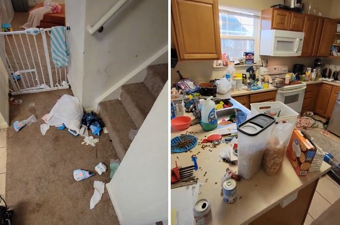 O peso invisível da&nbsp;desorganização