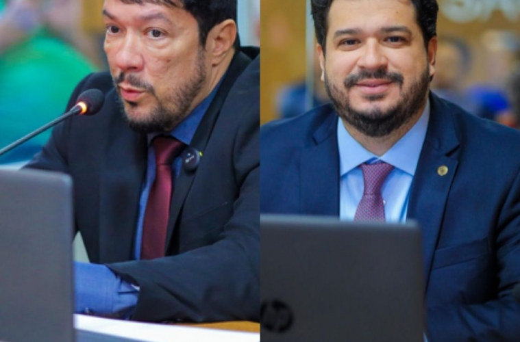 Câmara de São Luís aprova programas de incentivo à amamentação e segurança no&nbsp;trabalho