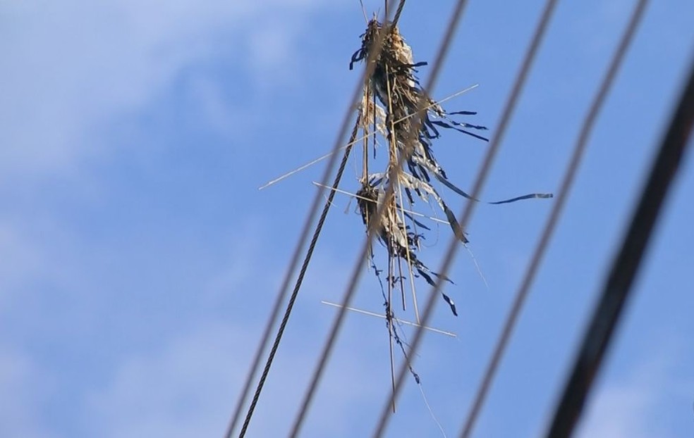 Equatorial Maranhão reforça alerta sobre riscos de soltar pipas perto da rede elétrica