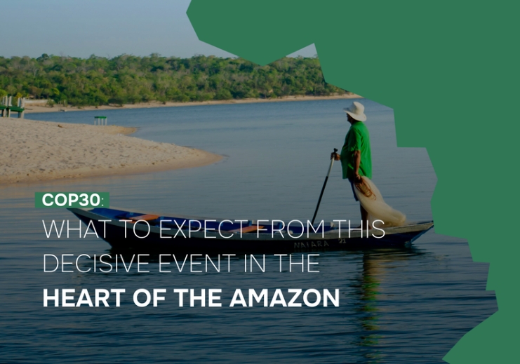 E-book sobre comunicação e sustentabilidade traz um panorama da COP30 para a América&nbsp;Latina