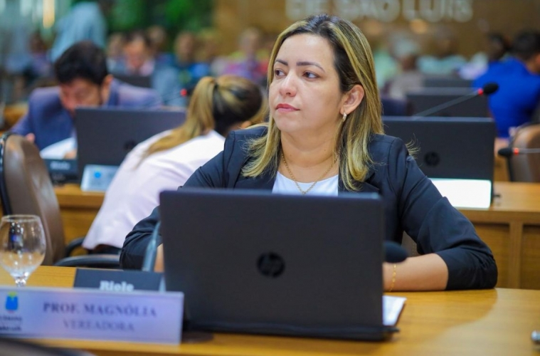 Câmara de São Luís analisa projeto para isentar alvará de entidades&nbsp;culturais