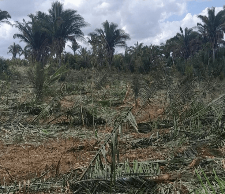 Demora na titulação mantém Quilombo Onça em estado de&nbsp;sítio
