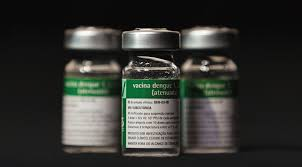 Médicos Sem Fronteiras celebra aprovação de vacina da dengue do Butantan e defende que interesse público prevaleça no acesso ao imunizante