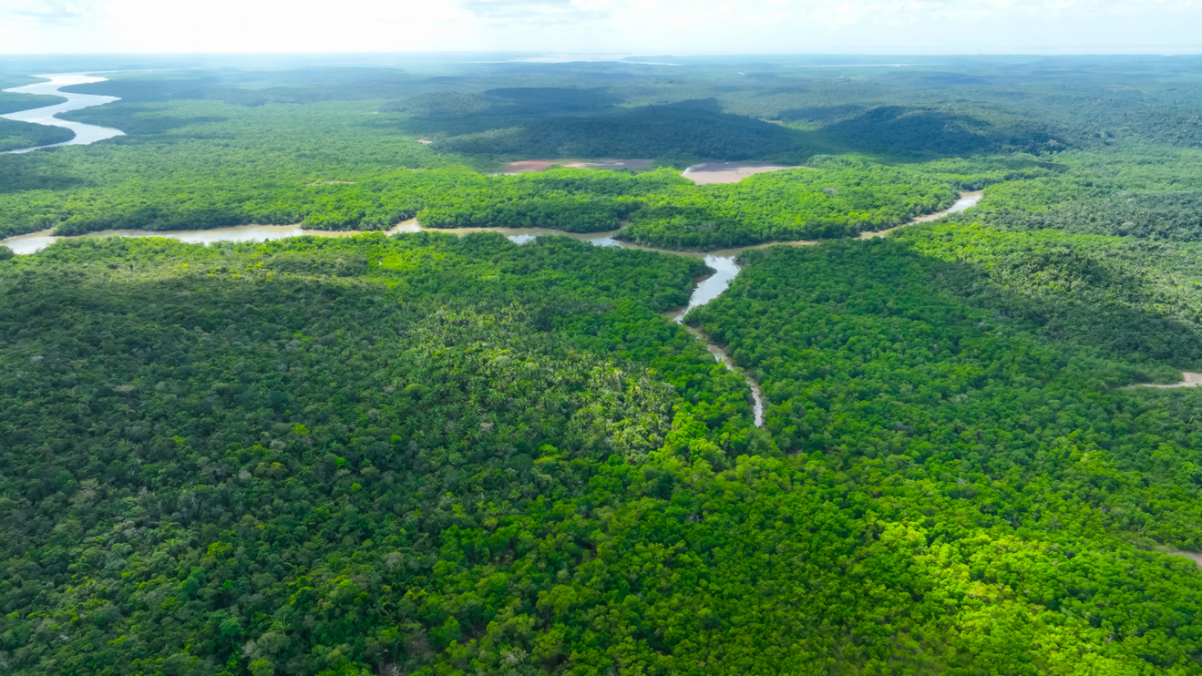 Empresa maranhense em destaque na reunião de Ação pela Agricultura e Florestas do Pacto Global da ONU