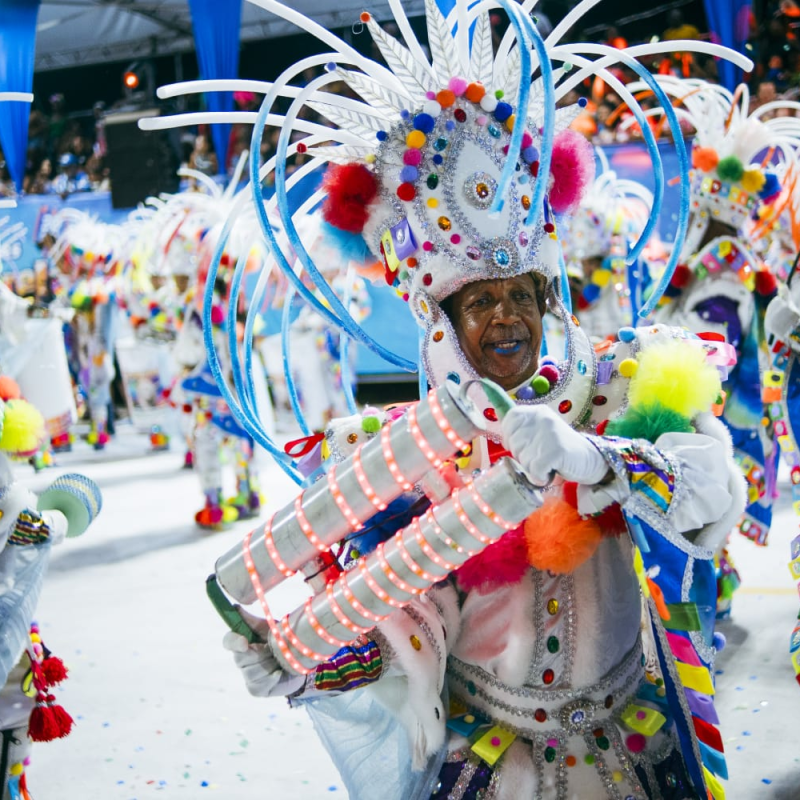 Império Serrano é a campeã do Carnaval de São Luís com enredo sobre o&nbsp;manguezal