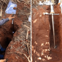 Brasil perdeu 1,4 bilhão de toneladas de carbono do solo por conversão de áreas naturais à&nbsp;agricultura