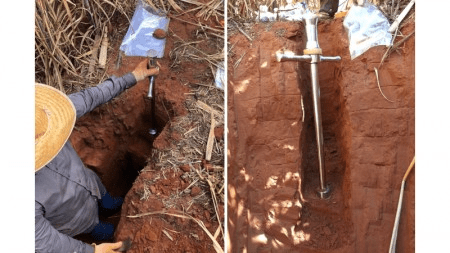 Brasil perdeu 1,4 bilhão de toneladas de carbono do solo por conversão de áreas naturais à&nbsp;agricultura