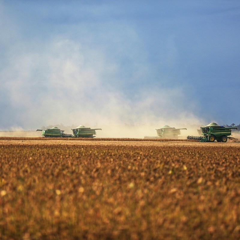 Safra de soja 2025/26 deve alcançar novo recorde no&nbsp;Brasil