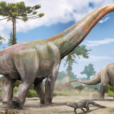 Novo dinossauro pescoçudo encontrado no Maranhão era parente próximo de espécie&nbsp;europeia