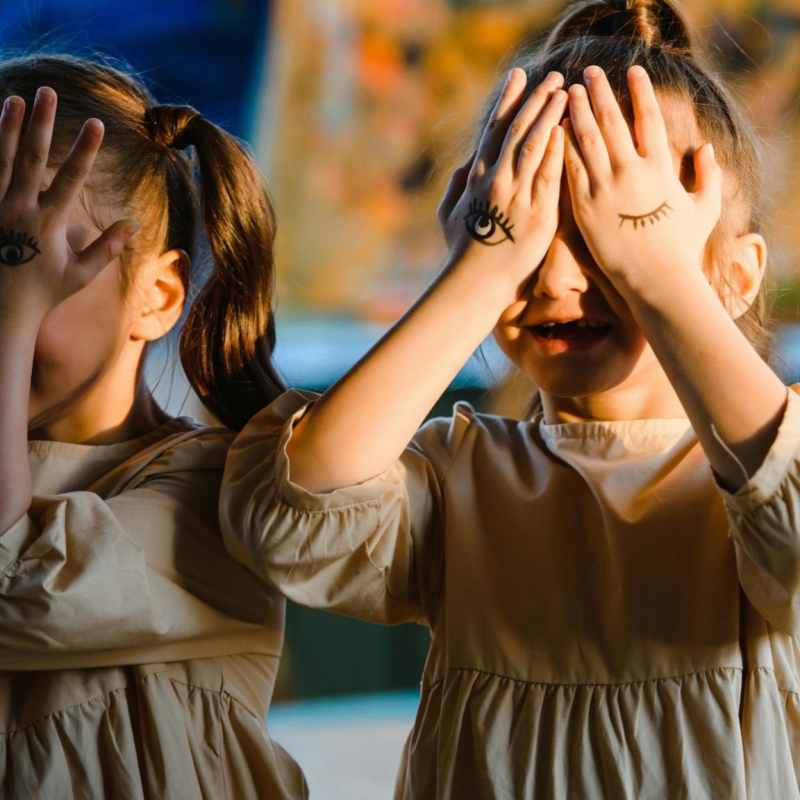 Técnicas de identificação de gêmeos são insuficientes para diferenciar irmãos idênticos, aponta&nbsp;estudo