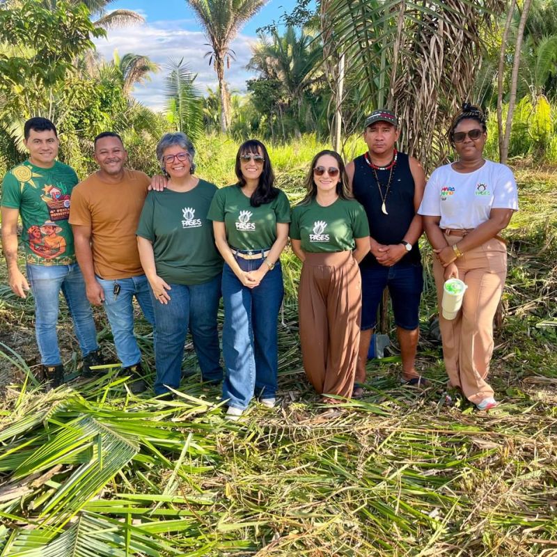 Aldeia no Maranhão recebe mutirão agroflorestal para restaurar território&nbsp;indígena