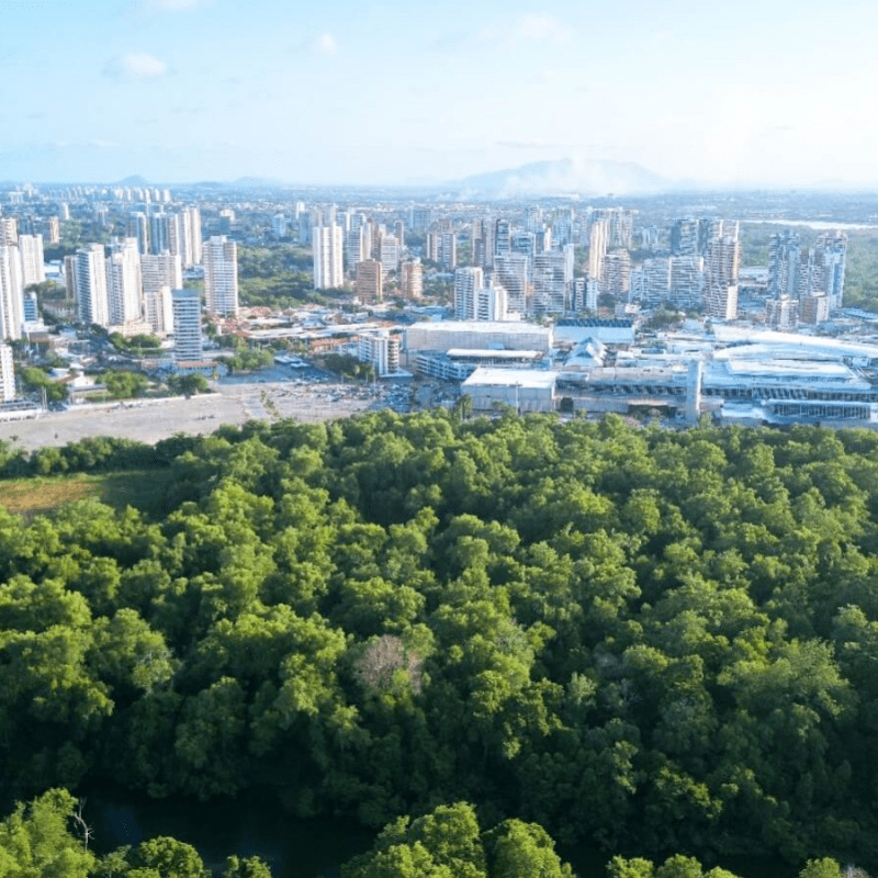 Recompensa por serviços ambientais urbanos ajuda a combater enchentes nas&nbsp;metrópoles