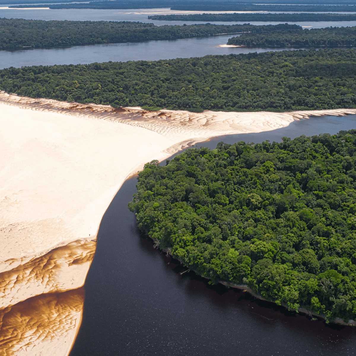 Desmate da Amazônia corta chuvas no Paraná e ameaça produção de grãos do&nbsp;estado