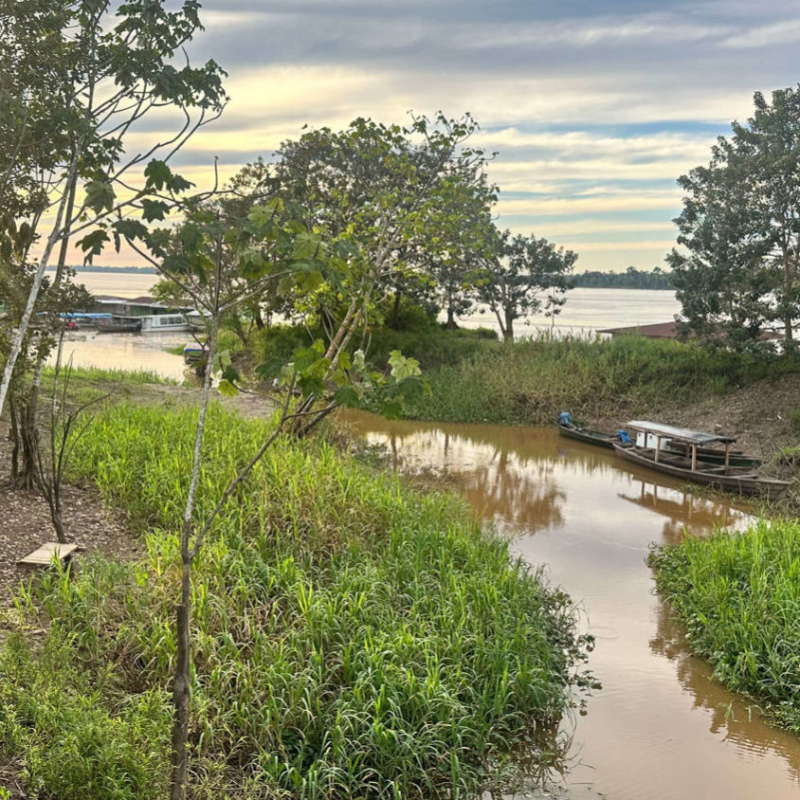 Estudo defende proteção legal para áreas ao redor de terras indígenas na&nbsp;Amazônia