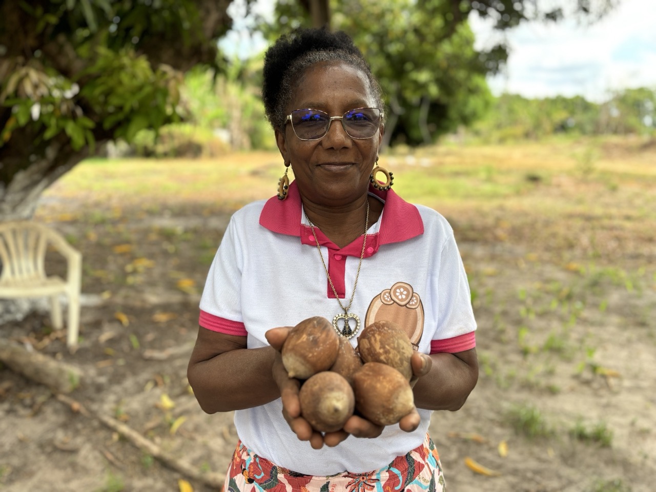 Sebrae identifica oportunidades de melhoria em cooperativas que trabalham com o babaçu no Maranhão